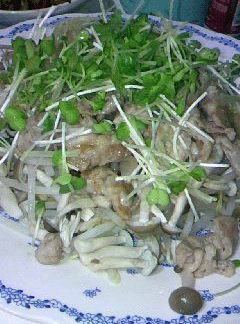 簡単豚もやし